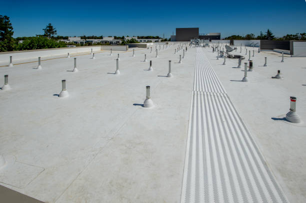 Best Solar Panel Roofing Installation  in Juneau, WI